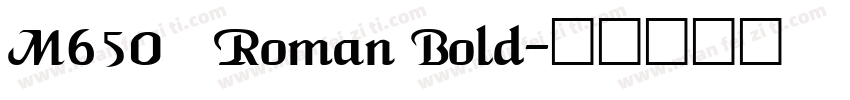 M650 Roman Bold字体转换
